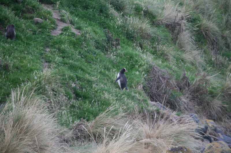 Nieuw-Zeeland 2011 - 2025